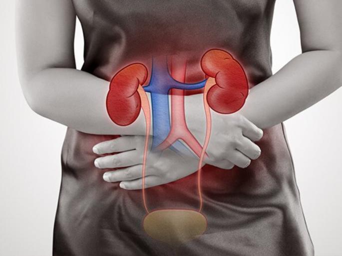 signs of kidney failure | Health tips: किडनी फेल होण्याआधी शरीर देते हे संकेत, वेळीच जाणून घ्या लक्षणं! signs of kidney failure | Health tips: किडनी फेल होण्याआधी शरीर देते हे संकेत, वेळीच जाणून घ्या लक्षणं!