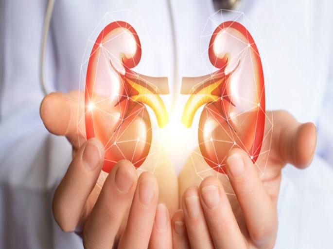 husband given new life to wife by giving a kidney | पतीने किडनी देऊन पत्नीला दिले जीवनदान  husband given new life to wife by giving a kidney | पतीने किडनी देऊन पत्नीला दिले जीवनदान