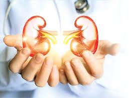 Donation of kidney from father to son; Successful gomecot surgery  | वडिलांकडून मुलाला किडनी दान; गोमेकॉत यशस्वी शस्त्रक्रिया  Donation of kidney from father to son; Successful gomecot surgery  | वडिलांकडून मुलाला किडनी दान; गोमेकॉत यशस्वी शस्त्रक्रिया