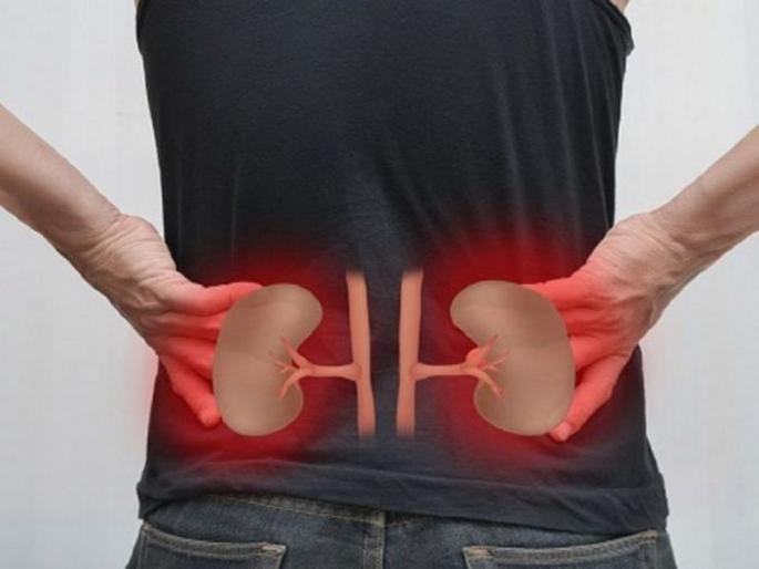Kidney damage and kidney disease causes sign and symptoms habits that can cause kidney damage | किडनी खराब होण्याचं कारण ठरतात तुमच्या 'या' सवयी; वेळीच सावध व्हा अन्यथा... Kidney damage and kidney disease causes sign and symptoms habits that can cause kidney damage | किडनी खराब होण्याचं कारण ठरतात तुमच्या 'या' सवयी; वेळीच सावध व्हा अन्यथा...