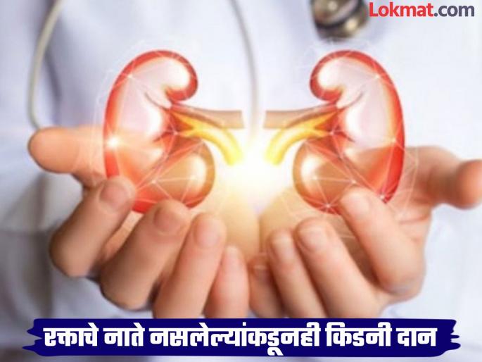 Money transaction for kidney? Kidney donation from non-blood relatives, verification by committee | किडनीसाठी पैशांचा व्यवहार? रक्ताचे नाते नसलेल्यांकडून किडनी दान, समिती करते पडताळणी Money transaction for kidney? Kidney donation from non-blood relatives, verification by committee | किडनीसाठी पैशांचा व्यवहार? रक्ताचे नाते नसलेल्यांकडून किडनी दान, समिती करते पडताळणी