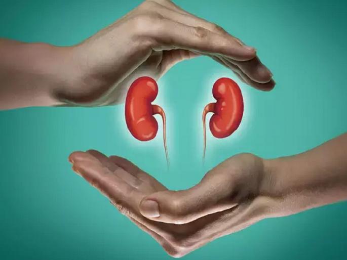 Take care of the kidneys, otherwise find a donor! In Marathwada, 300 people need kidneys | किडनीला जपा, नाही तर दाता शोधून ठेवा ! मराठवाड्यात ३०० जणांना हवी किडनी Take care of the kidneys, otherwise find a donor! In Marathwada, 300 people need kidneys | किडनीला जपा, नाही तर दाता शोधून ठेवा ! मराठवाड्यात ३०० जणांना हवी किडनी
