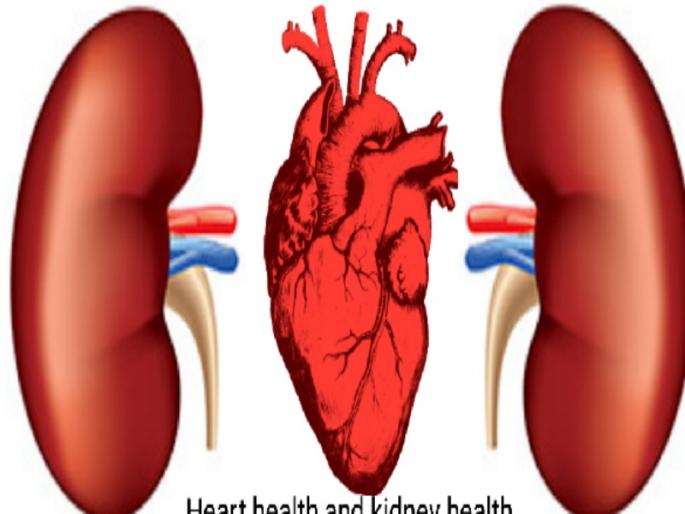 Provide divyang certificate to Congestion Kidney-Heart Diseases : The Disability Welfare Commissioner recommends | जन्मजात किडनी-हृदय रोग्यांना दिव्यांगांचा दर्जा द्यावा : अपंग कल्याण आयुक्तालयाची शिफारस Provide divyang certificate to Congestion Kidney-Heart Diseases : The Disability Welfare Commissioner recommends | जन्मजात किडनी-हृदय रोग्यांना दिव्यांगांचा दर्जा द्यावा : अपंग कल्याण आयुक्तालयाची शिफारस