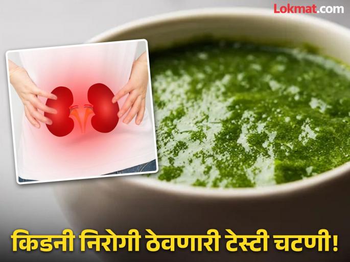 Increase the power of your kidneys eating this chutney | किडनीची पॉवर वाढवण्यासाठी रोज खाणं सुरू करा ही टेस्टी चटणी!