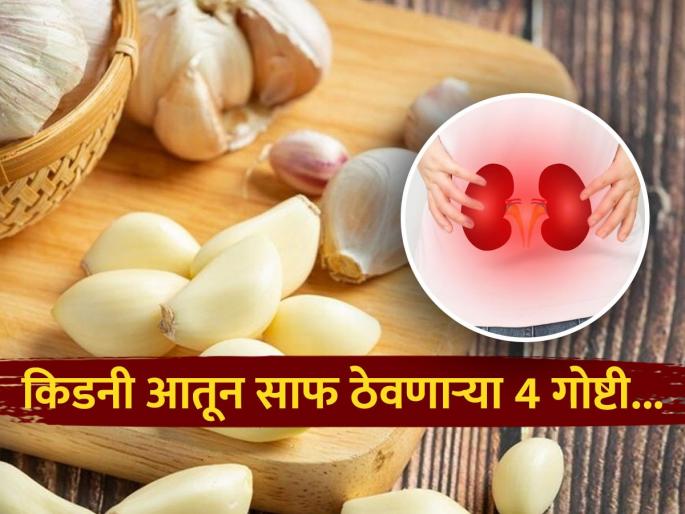These 4 foods keep the kidneys clean from inside | किडनीला आतून स्वच्छ ठेवतात 'हे' ४ अन्नपदार्थ, पाहा कसा कराल आहारात समावेश