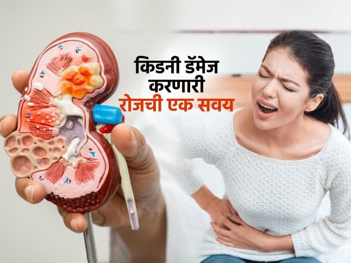 Kidney Damage Cause : This one daily diet habit is damaging your kidney | रोजची 'ही' एक सवय किडनीला करत आहे डॅमेज, आपल्यालाही असेल तर लगेच सोडा आणि जीव वाचवा! Kidney Damage Cause : This one daily diet habit is damaging your kidney | रोजची 'ही' एक सवय किडनीला करत आहे डॅमेज, आपल्यालाही असेल तर लगेच सोडा आणि जीव वाचवा!