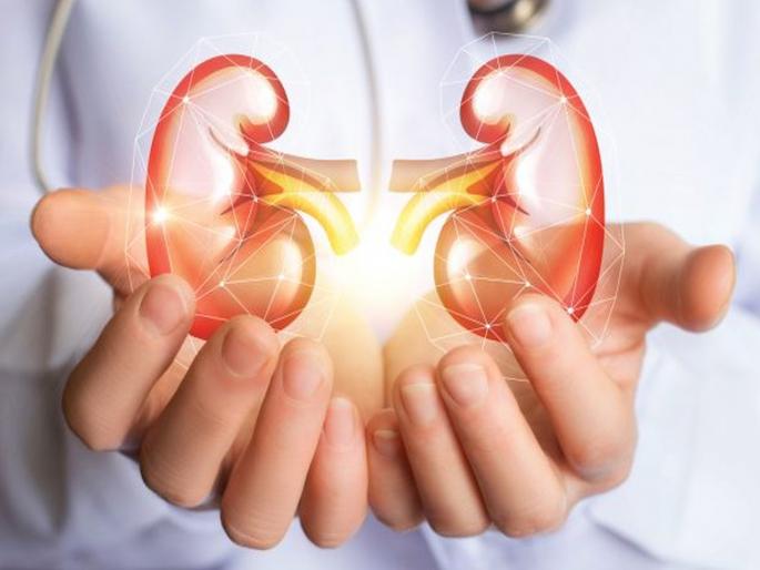 World Kidney Day: Very important in chronic kidney disease taking care of the food these diets can follow | World Kidney Day : क्रोनिक किडनी डिजीजमध्ये आहार ठरतो महत्त्वाचा, ही डाएट करू शकता फॉलो! World Kidney Day: Very important in chronic kidney disease taking care of the food these diets can follow | World Kidney Day : क्रोनिक किडनी डिजीजमध्ये आहार ठरतो महत्त्वाचा, ही डाएट करू शकता फॉलो!