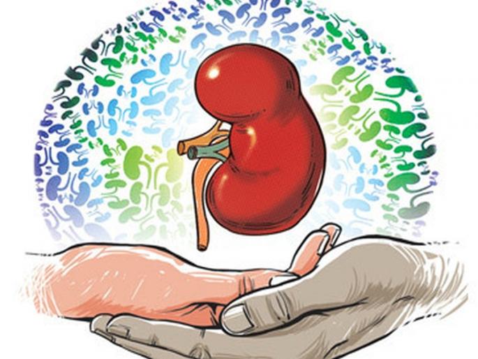  One arrested for kidney trafficking, Sahar police action: More investigations started | किडनी तस्करीप्रकरणी एकाला अटक, सहार पोलिसांची कारवाई : अधिक तपास सुरू