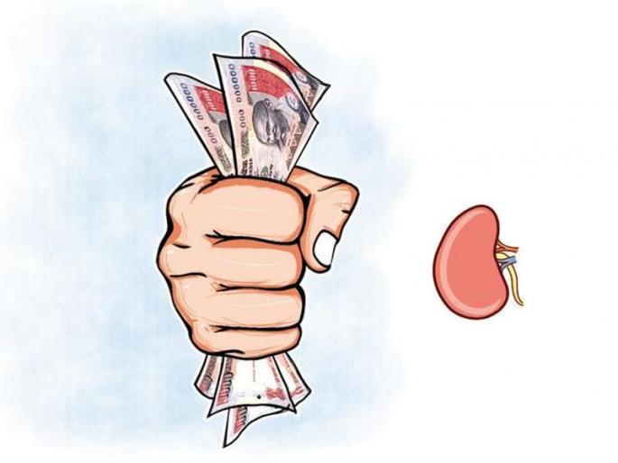 kidney trafficking : police squad reach to Delhi | किडनी तस्करी प्रकरणात पथक दिल्लीला; एकाविरुद्ध सदोष मनुष्यवधाचा गुन्हा kidney trafficking : police squad reach to Delhi | किडनी तस्करी प्रकरणात पथक दिल्लीला; एकाविरुद्ध सदोष मनुष्यवधाचा गुन्हा