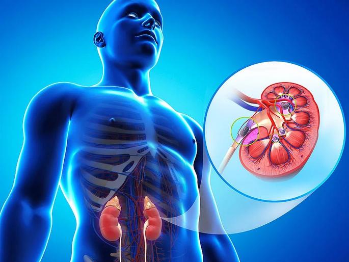 mistakes that can cause kidney problems or even can damage kidney | 'या' चुका तुमची किडनी आणि मुत्रपिंड कायमचं निकामी करु शकता, वेळीच ओळखा धोक्याची घंटा mistakes that can cause kidney problems or even can damage kidney | 'या' चुका तुमची किडनी आणि मुत्रपिंड कायमचं निकामी करु शकता, वेळीच ओळखा धोक्याची घंटा