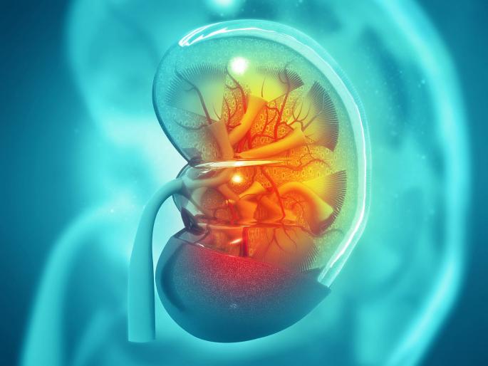 Biggest kidney operation in India and world | रूग्णाच्या शरीरातून काढली ७.४ किलोची किडनी, भारतातील पहिली सर्वात जास्त वजनी किडनी! Biggest kidney operation in India and world | रूग्णाच्या शरीरातून काढली ७.४ किलोची किडनी, भारतातील पहिली सर्वात जास्त वजनी किडनी!