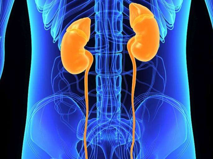kidney failure signs that you should not ignore | डायबेटीस असल्यास किडनी पेशंटनी रहा सावधान! वेळीच ओळखा धोक्याची घंटा kidney failure signs that you should not ignore | डायबेटीस असल्यास किडनी पेशंटनी रहा सावधान! वेळीच ओळखा धोक्याची घंटा