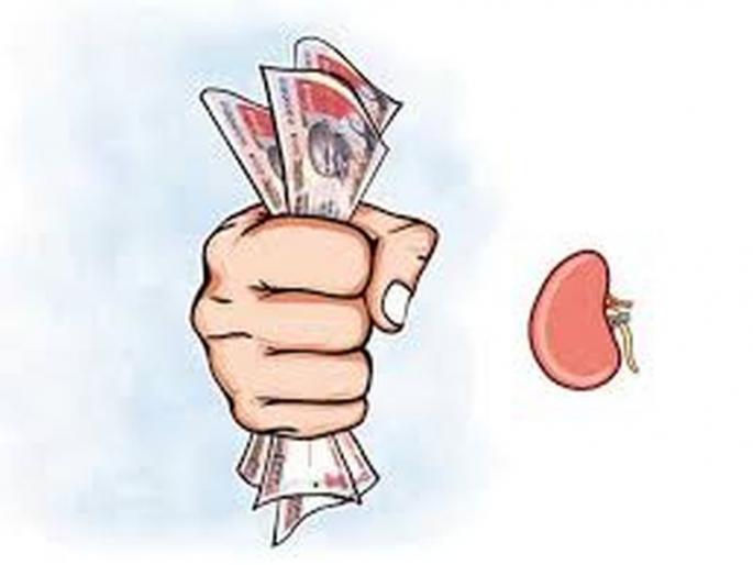 Kidney trafficking: Cousin of teen commit suiside | किडनी तस्करी: किडनी विक्रीचा सौदा करणाऱ्या युवकाच्या चुलत भावानेही केली आत्महत्या Kidney trafficking: Cousin of teen commit suiside | किडनी तस्करी: किडनी विक्रीचा सौदा करणाऱ्या युवकाच्या चुलत भावानेही केली आत्महत्या