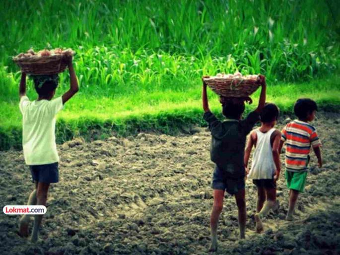 How to learn there are no primary schools in 1650 villages errors in implementation of Right to Education Act | कसे शिकायचे? १६५० खेड्यांत प्राथमिक शाळाच नाही! शिक्षण हक्क कायद्याच्या अंमलबजावणीत त्रुटी How to learn there are no primary schools in 1650 villages errors in implementation of Right to Education Act | कसे शिकायचे? १६५० खेड्यांत प्राथमिक शाळाच नाही! शिक्षण हक्क कायद्याच्या अंमलबजावणीत त्रुटी