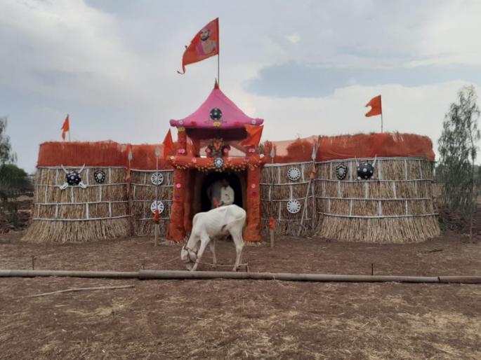 Farmer created 50 by 20 feet attractive 'Fort style Mandav' for 'Sarja Raja'bull | बळीराजाने लाडक्या ‘सर्जा राजा’साठी साकारला ५० बाय २० फुटी आकर्षक ‘किल्ला प्रतिकृती मांडव’ Farmer created 50 by 20 feet attractive 'Fort style Mandav' for 'Sarja Raja'bull | बळीराजाने लाडक्या ‘सर्जा राजा’साठी साकारला ५० बाय २० फुटी आकर्षक ‘किल्ला प्रतिकृती मांडव’