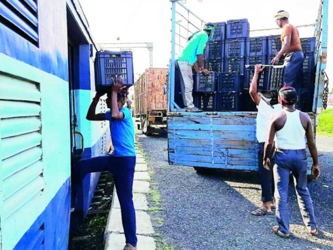 Orange growers respond to Kisan Railway: 17 wagons leave for Delhi | संत्रा उत्पादकांचा किसान रेल्वेला प्रतिसाद  : १७ वॅगन दिल्लीला रवाना