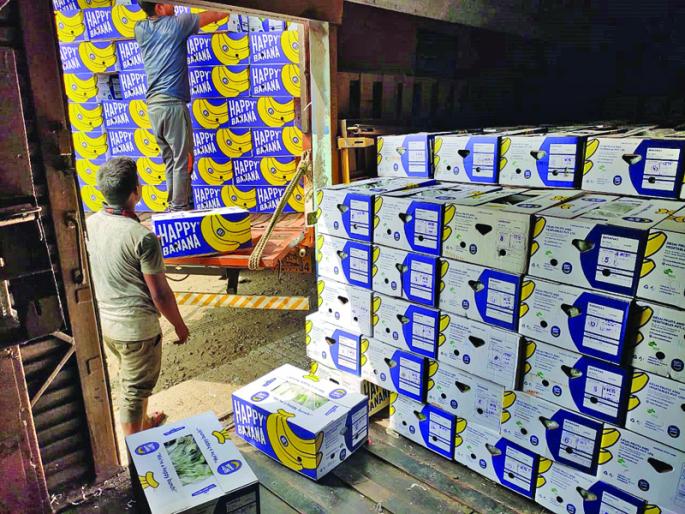 Solapur's famous bananas, apples, pomegranates and fish are priced in the Delhi market | सोलापूरच्या प्रसिद्ध केळी, सफरचंद, डाळिंब अन् माशांना दिल्लीच्या बाजारात भाव Solapur's famous bananas, apples, pomegranates and fish are priced in the Delhi market | सोलापूरच्या प्रसिद्ध केळी, सफरचंद, डाळिंब अन् माशांना दिल्लीच्या बाजारात भाव