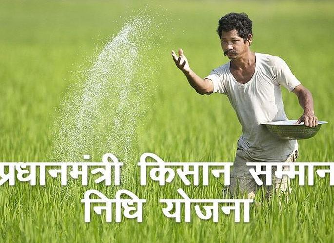PM-Kisan: Registration of 50,000 farmer families | पीएम-किसान : दोन हेक्टरवरील ५० हजार शेतकरी कुटुंबांची नोंदणी! PM-Kisan: Registration of 50,000 farmer families | पीएम-किसान : दोन हेक्टरवरील ५० हजार शेतकरी कुटुंबांची नोंदणी!