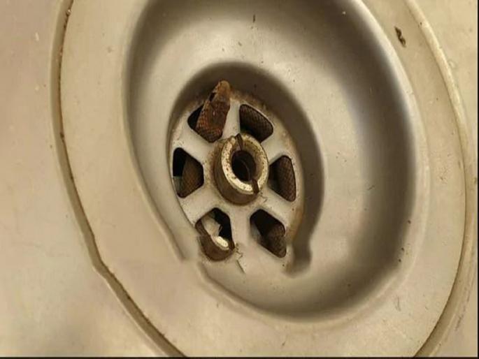 Horrifying Moment ! Snake popping out of the sink while washing dishes-SRJ | बापरे ! चक्क किचनच्या सिंकमधून निघाला साप, त्यानंतर घडलं असं काही Horrifying Moment ! Snake popping out of the sink while washing dishes-SRJ | बापरे ! चक्क किचनच्या सिंकमधून निघाला साप, त्यानंतर घडलं असं काही