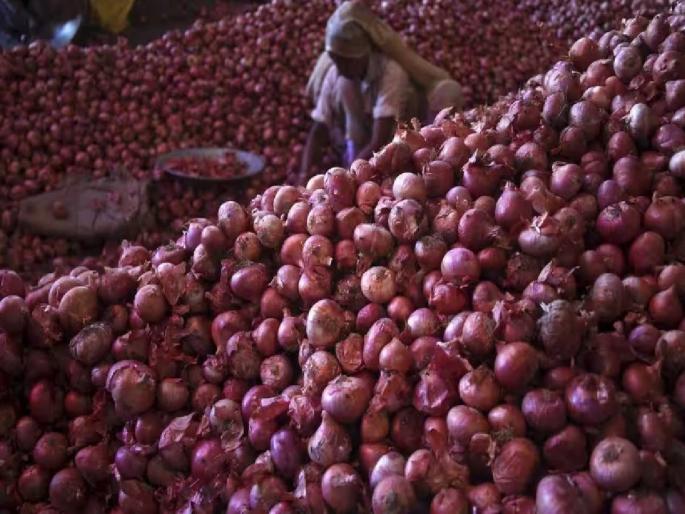 Onion: Due to the decision to ban exports, the economic calculus of onion producers has collapsed | Onion: निर्यातबंदी निर्णयामुळे कांदा उत्पादकांचे आर्थिक गणित काेलमडले Onion: Due to the decision to ban exports, the economic calculus of onion producers has collapsed | Onion: निर्यातबंदी निर्णयामुळे कांदा उत्पादकांचे आर्थिक गणित काेलमडले