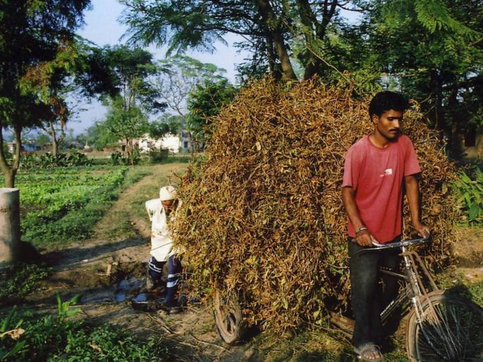 Selling soybeans at low prices? Get a farm mortgage loan, then sell | सोयाबीन कमी भावात विकताय? शेतमाल तारण कर्ज घ्या, नंतर विका Selling soybeans at low prices? Get a farm mortgage loan, then sell | सोयाबीन कमी भावात विकताय? शेतमाल तारण कर्ज घ्या, नंतर विका