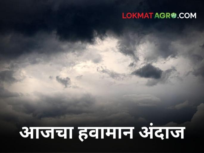 'Morning dew persists, maximum temperature also on the rise' | Weather Updates : 'पहाटेचा गारवा टिकून तर कमाल तापमानही चढतीकडे' 'Morning dew persists, maximum temperature also on the rise' | Weather Updates : 'पहाटेचा गारवा टिकून तर कमाल तापमानही चढतीकडे'