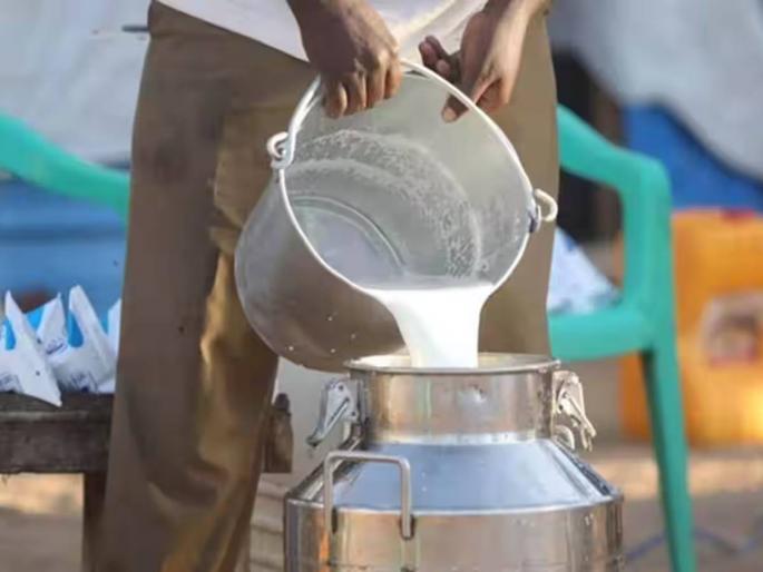 Animal feed costlier, milk from Rs 35 to Rs 25; Farmers in double trouble | पशुखाद्य महागले, दुधाचे ३५ रुपयांवरून २५ वर; शेतकरी दुहेरी संकटात Animal feed costlier, milk from Rs 35 to Rs 25; Farmers in double trouble | पशुखाद्य महागले, दुधाचे ३५ रुपयांवरून २५ वर; शेतकरी दुहेरी संकटात