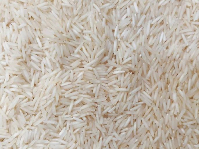 Rice taste 'deteriorated' before new rice arrives | नवीन तांदूळ येण्याआधीच भाताची चव 'बिघडली' Rice taste 'deteriorated' before new rice arrives | नवीन तांदूळ येण्याआधीच भाताची चव 'बिघडली'