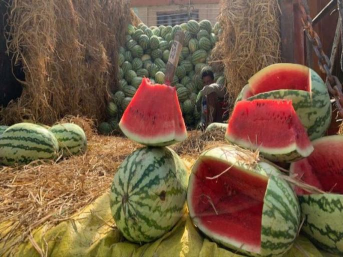 watermelon which is sweet in taste and cools the stomach, is in high demand in summer. | कच्चे कलिंगड केमिकल वापरून लाल केले जातात; असं ओळखा कलिंगडमधील 'केमिकल लोचा' watermelon which is sweet in taste and cools the stomach, is in high demand in summer. | कच्चे कलिंगड केमिकल वापरून लाल केले जातात; असं ओळखा कलिंगडमधील 'केमिकल लोचा'