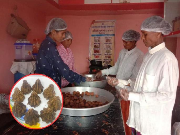 The sweetness of Gadchiroli's Modka blossoms in Nagpur, Creation of Women Self Help Group of Jeevangatta | गडचिरोलीच्या मोदकाचा गोडवा बहरला नागपुरात The sweetness of Gadchiroli's Modka blossoms in Nagpur, Creation of Women Self Help Group of Jeevangatta | गडचिरोलीच्या मोदकाचा गोडवा बहरला नागपुरात