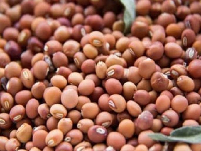 Turmeric prices collapsed in the open market; Farmers worried again | खुल्या बाजारात तुरीचे भाव कोसळले; शेतकरी पुन्हा चिंतेत Turmeric prices collapsed in the open market; Farmers worried again | खुल्या बाजारात तुरीचे भाव कोसळले; शेतकरी पुन्हा चिंतेत