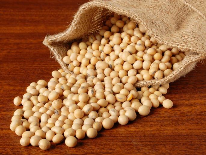 Soybean Market: Latur's yellow soybeans are fetching such a price, what is the situation in other places? | Soybean Market: लातूरच्या पिवळ्या सोयाबीनला मिळतोय सध्या एवढा भाव, उर्वरित ठिकाणी काय स्थिती? Soybean Market: Latur's yellow soybeans are fetching such a price, what is the situation in other places? | Soybean Market: लातूरच्या पिवळ्या सोयाबीनला मिळतोय सध्या एवढा भाव, उर्वरित ठिकाणी काय स्थिती?