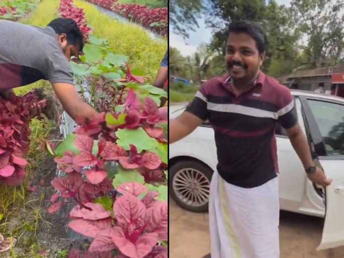 You too can farm like a farmer selling vegetables from an Audi... | ऑडीतून येऊन भाजी विकणाऱ्या शेतकऱ्यासारखी शेती तुम्हालाही करता येऊ शकते...