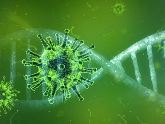 416 corona patients found in Thane district; 9 died | ठाणे जिल्ह्यात कोरोनाचे ४१६ रुग्ण सापडले; ९ जणांचा मृत्यू 416 corona patients found in Thane district; 9 died | ठाणे जिल्ह्यात कोरोनाचे ४१६ रुग्ण सापडले; ९ जणांचा मृत्यू