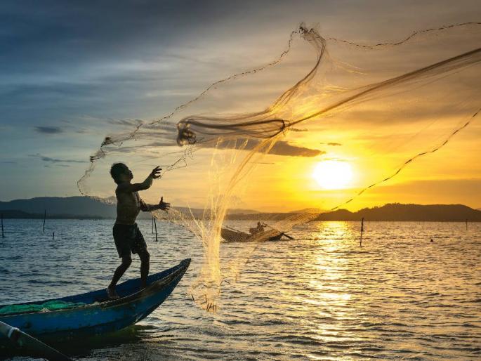 The fishermen of Jayakwadi fear that they will get caught up in fishing | जायकवाडीतील मच्छीमारांना मासेमारीवर गंडांतर येण्याची भीती The fishermen of Jayakwadi fear that they will get caught up in fishing | जायकवाडीतील मच्छीमारांना मासेमारीवर गंडांतर येण्याची भीती