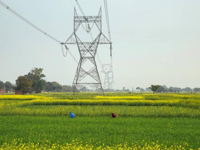 Electricity consumption of agriculture sector at 37.1 percent in last ten years | कृषी क्षेत्राचा विजेचा वापर मागील दहा वर्षात ३७.१ टक्क्यांवर Electricity consumption of agriculture sector at 37.1 percent in last ten years | कृषी क्षेत्राचा विजेचा वापर मागील दहा वर्षात ३७.१ टक्क्यांवर