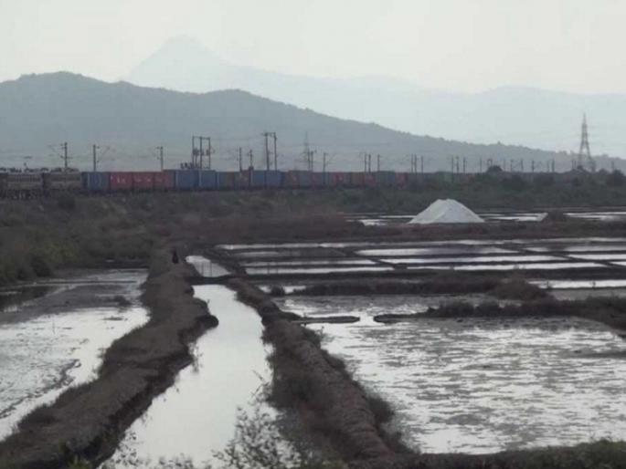 Eye-catching open space; Movements to appoint consultants for survey of salt marshes | डोळ्यात खुपणारी मोकळी जमीन; मिठागरांच्या जागांच्या सर्वेक्षणासाठी सल्लागार नेमण्याच्या हालचाली