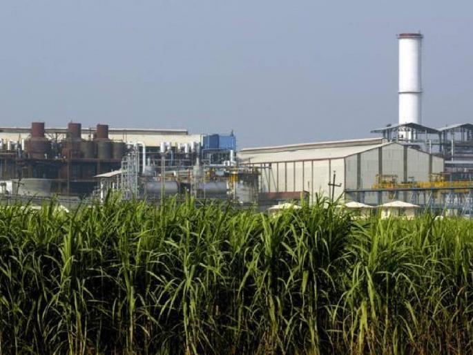Sugar mills should focus on production of alternative biofuels along with sugar | साखर कारखान्यांनी साखरेबरोबरच पर्यायी जैविक इंधन निर्मितीवर भर द्यावा Sugar mills should focus on production of alternative biofuels along with sugar | साखर कारखान्यांनी साखरेबरोबरच पर्यायी जैविक इंधन निर्मितीवर भर द्यावा