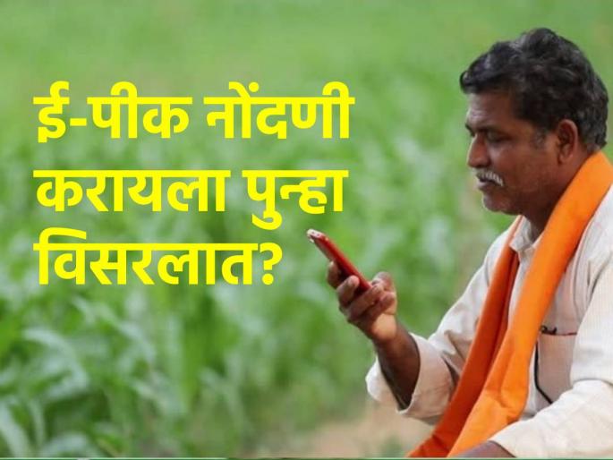 Forgot to register e-Peak? The government has given an extension till 'this' date | ई-पीक नोंदणी करायची विसरलात? सरकारने दिली 'या' तारखेपर्यंत मुदतवाढ Forgot to register e-Peak? The government has given an extension till 'this' date | ई-पीक नोंदणी करायची विसरलात? सरकारने दिली 'या' तारखेपर्यंत मुदतवाढ