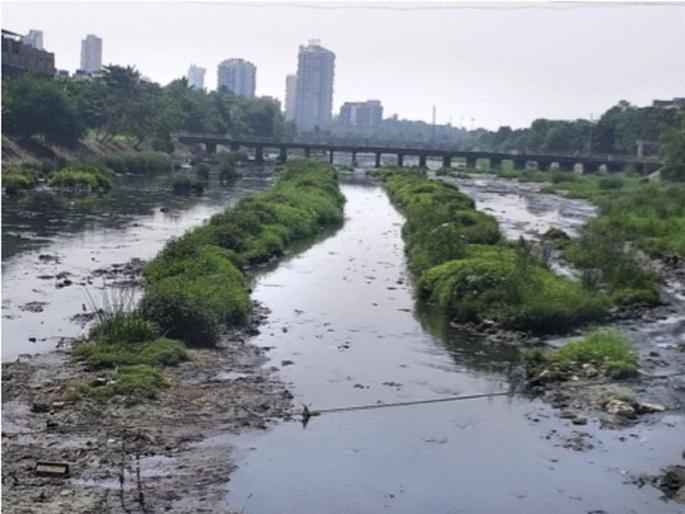 Silt in Ghansoli Nala | घणसोली नाल्यात साचला गाळ; दुर्गंधीमुळे नागरिकांच्या जीवाला धोका Silt in Ghansoli Nala | घणसोली नाल्यात साचला गाळ; दुर्गंधीमुळे नागरिकांच्या जीवाला धोका