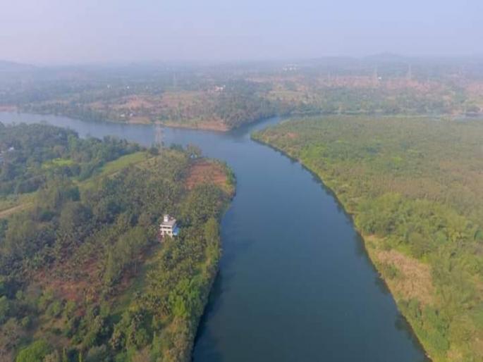 Spraying of glyphosate on Ulhas river water hyacinth should be stopped | उल्हास नदीच्या जलपर्णीवरील ग्लायफोसेटची फवारणी बंद करावी; मी कल्याणकर संस्थेची मागणी Spraying of glyphosate on Ulhas river water hyacinth should be stopped | उल्हास नदीच्या जलपर्णीवरील ग्लायफोसेटची फवारणी बंद करावी; मी कल्याणकर संस्थेची मागणी