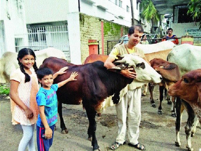 'He' daily raises 50 songs !, Vasubar's special; 'Go' service of Avalya of Kolhapur | ‘तो’ दररोज करतो ५० गार्इंचे उदरभरण!, वसुबारस विशेष; कोल्हापूरच्या अवलियाची ‘गो’सेवा  'He' daily raises 50 songs !, Vasubar's special; 'Go' service of Avalya of Kolhapur | ‘तो’ दररोज करतो ५० गार्इंचे उदरभरण!, वसुबारस विशेष; कोल्हापूरच्या अवलियाची ‘गो’सेवा
