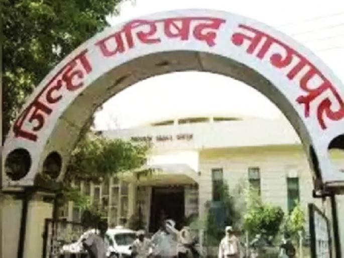 The members stayed at the Nile farm with the sight of a tiger in the palm tree | कऱ्हांडल्यात वाघाचे दर्शन घेऊन सदस्यांचा नील फार्मवर ठिय्या The members stayed at the Nile farm with the sight of a tiger in the palm tree | कऱ्हांडल्यात वाघाचे दर्शन घेऊन सदस्यांचा नील फार्मवर ठिय्या