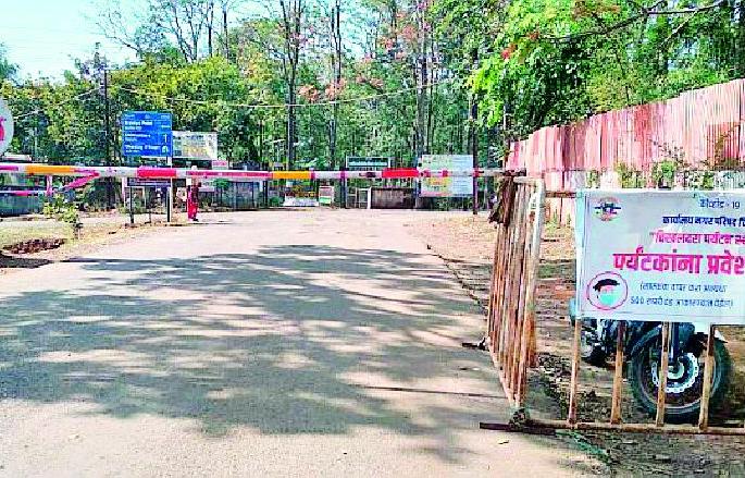 teprature drop down in chikhaldara to 4.8 celcious | नंदनवनाचा पारा घसरला; चिखलदरा @ ४.८ अंश सेल्सियस