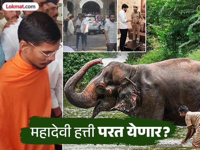 Kolhapur Mahadevi Elephant Kolhapur people is amazing Vantara team has arrived for the second time, will meet the Mahaswami | कोल्हापुरकरांचा नादच खुळा! वनताराचे पथक दुसऱ्यांदा दाखल, महास्वामींची भेट घेणार