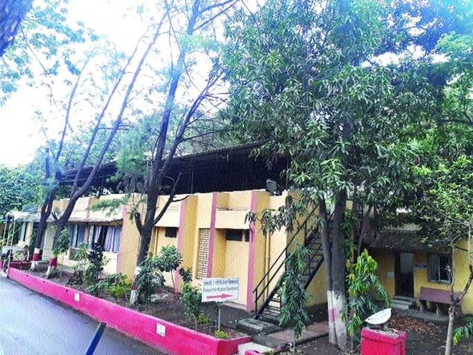 Fear of tree collapse, neglect of municipal administration | वृक्ष कोसळण्याची भीती, पालिका प्रशासनाचे दुर्लक्ष Fear of tree collapse, neglect of municipal administration | वृक्ष कोसळण्याची भीती, पालिका प्रशासनाचे दुर्लक्ष