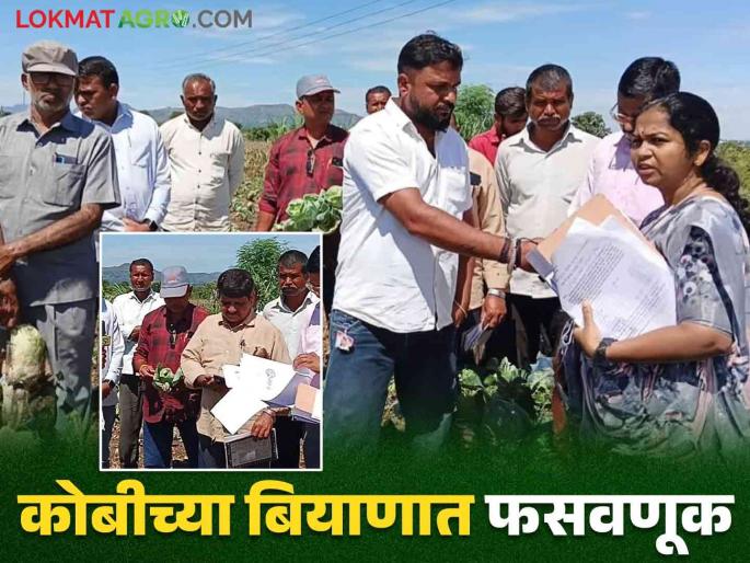 latest news Seven farmers lost lakhs of rupees due to fraud in cabbage seeds in deola taluka | Cabbage Bogus Seed : कोबी बियाण्यात फसवणूक, साडेतीन एकरमध्ये रुपयाचेही उत्पन्न नाही, वाचा सविस्तर  latest news Seven farmers lost lakhs of rupees due to fraud in cabbage seeds in deola taluka | Cabbage Bogus Seed : कोबी बियाण्यात फसवणूक, साडेतीन एकरमध्ये रुपयाचेही उत्पन्न नाही, वाचा सविस्तर