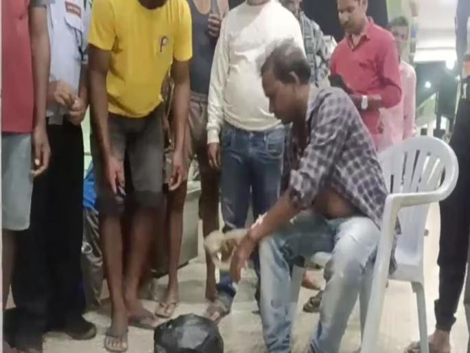 Odisha Youth Ajit Karmakar arrived at Udala hospital with a dead cobra after being bitten three to four times | 'कोब्रा' चावल्यानंतर युवकाने सापाला मारून टाकलं, मग पिशवीत घेऊन थेट हॉस्पिटल गाठलं... Odisha Youth Ajit Karmakar arrived at Udala hospital with a dead cobra after being bitten three to four times | 'कोब्रा' चावल्यानंतर युवकाने सापाला मारून टाकलं, मग पिशवीत घेऊन थेट हॉस्पिटल गाठलं...