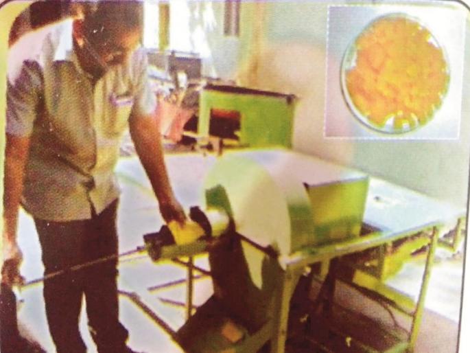 For the first time in India Dr. Panjabrao Deshmukh Agricultural University made from cherry | डॉ. पंजाबराव देशमुख कृषी विद्यापीठाने भारतात प्रथमच कोहळ्यापासून बनविली चेरी For the first time in India Dr. Panjabrao Deshmukh Agricultural University made from cherry | डॉ. पंजाबराव देशमुख कृषी विद्यापीठाने भारतात प्रथमच कोहळ्यापासून बनविली चेरी