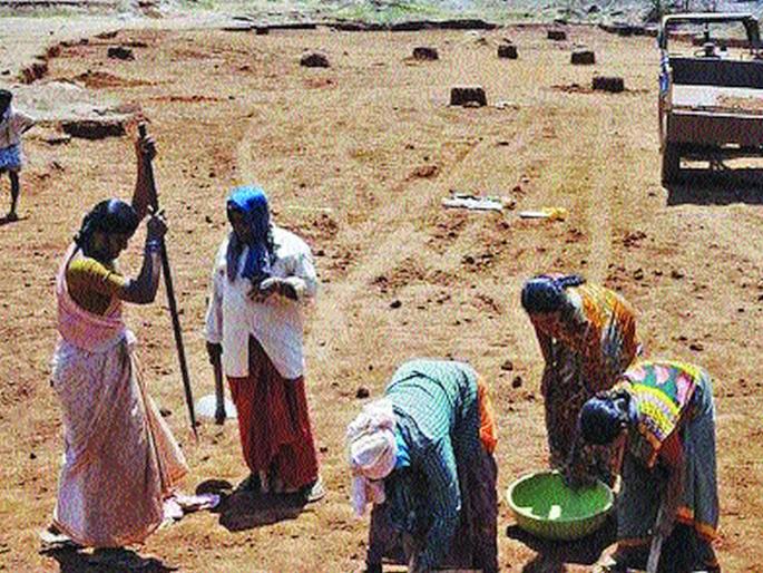 Start of 2,170 MGNREGA works in Konkan division | कोकण विभागात मनरेगाच्या २,१७0 कामांना सुरुवात Start of 2,170 MGNREGA works in Konkan division | कोकण विभागात मनरेगाच्या २,१७0 कामांना सुरुवात